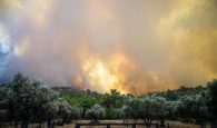 Κρήτη: Πολύ υψηλός κίνδυνος πυρκαγιάς την Κυριακή (6/8) σε τρεις νομούς