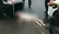 Αστυνομικοί ακινητοποίησαν σκύλο με τέιζερ και τον έβαλαν σε κάδο απορριμμάτων (σκληρές εικόνες)