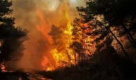 Ανεξέλεγκτη η φωτιά στον Έβρο – Καίγεται ακόμη το δάσος της Δαδιάς