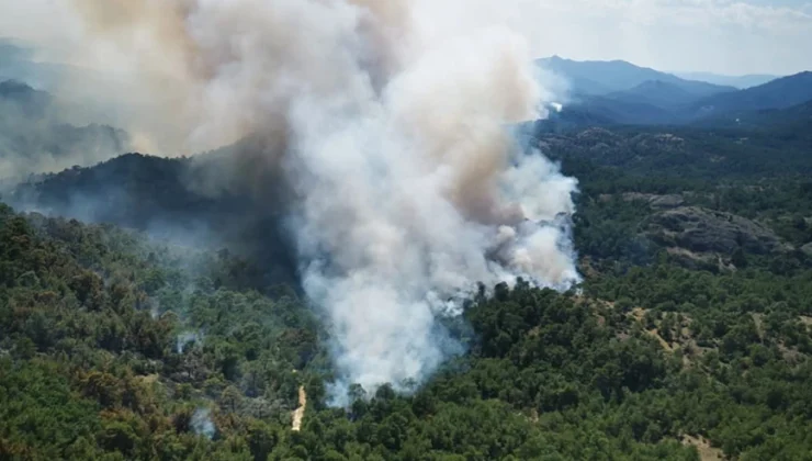 Πυρκαγιές: Νέες εκκενώσεις περιοχών σε Έβρο και Ροδόπη με μήνυμα από το 112