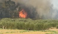 Χανιά: Πυρκαγιά στον Αποκόρωνα – Ισχυρές δυνάμεις της πυροσβεστικής στο σημείο