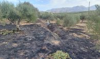 Πυρκαγιά στη Γαρίπα Ηρακλείου έκαψε γεωργική έκταση (φωτο)