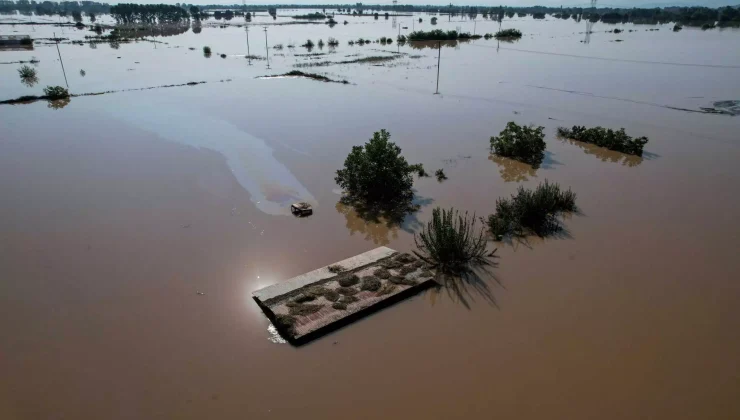 Οικονομικές επιπτώσεις των πλημμυρών στον Θεσσαλικό κάμπο