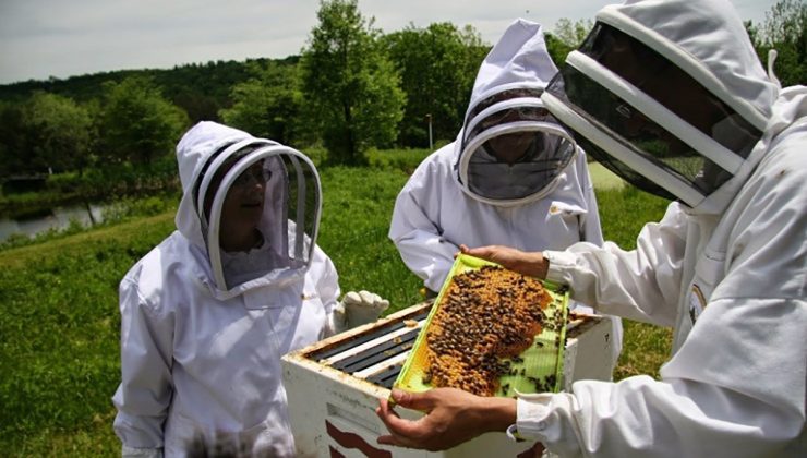Οι μελισσοκόμοι των Χανίων στην παγκρήτια κινητοποίηση στο Ηράκλειο