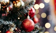 Χριστούγεννα στον ΔΟΚΟΙΠΠ – Δείτε όλες τις εορταστικές δράσεις