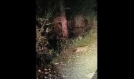 Χανιά: Φουρόγατος κυκλοφορεί στο δάσος της Ζούρβας; (βίντεο)