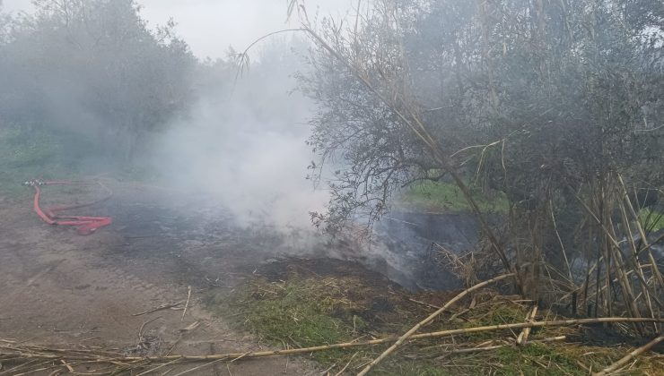 Χανιά: Άναψαν φωτιές και «άρπαξαν» πρόστιμα των 500 ευρώ από την Πυροσβεστική (φωτο)