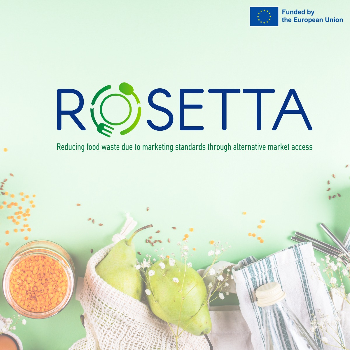 ROSETTA Project: Workshop στην ακαδημία Χαλκιαδάκης για τη μείωση σπατάλης τροφίμων και τη δημιουργία βιώσιμου μέλλοντος